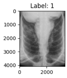 image-20250622231444973