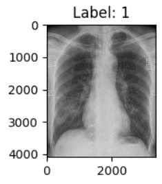 image-20250622231550489