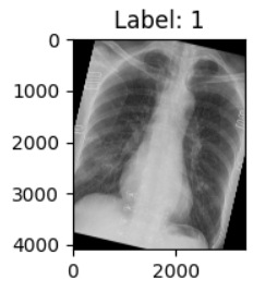 image-20250622231744358