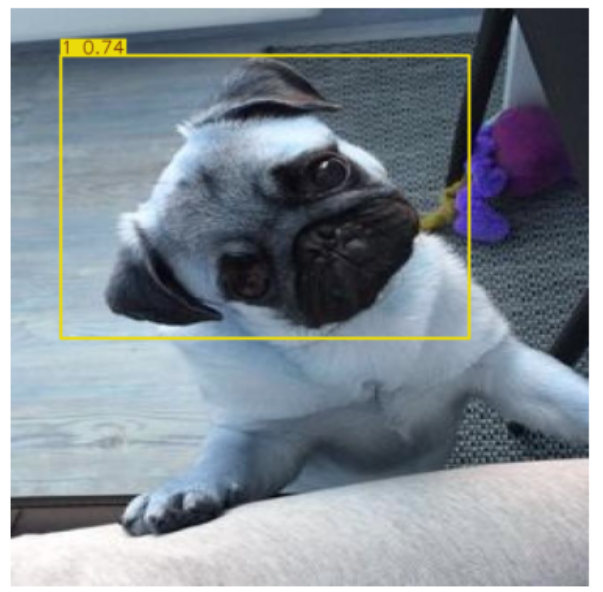 image-20250630225252928